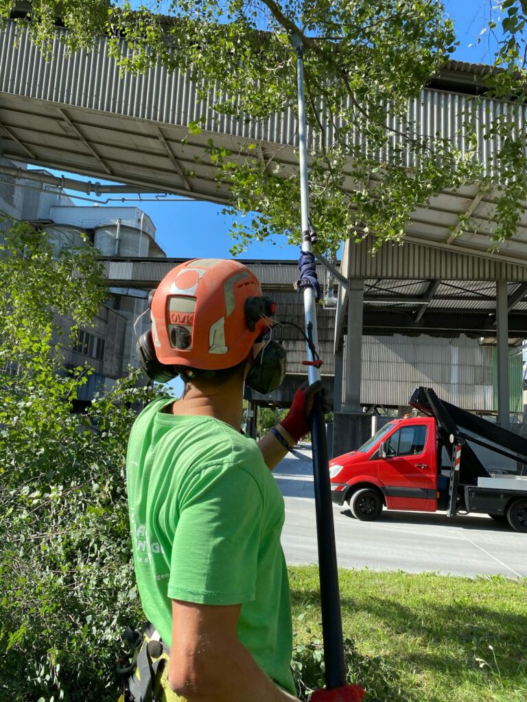 Worker using pole saw for tree trimming tasks outdoors under clear blue sky.